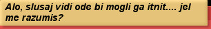 Alo, slusaj vidi ode bi mogli ga itnit.... jel me razumis?